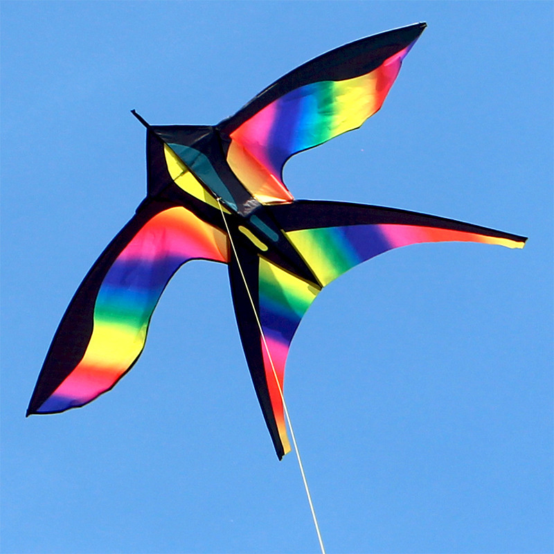 Kite Easy Fly Kids - Cerf-volant coloré en forme d'oiseau arc-en-ciel,