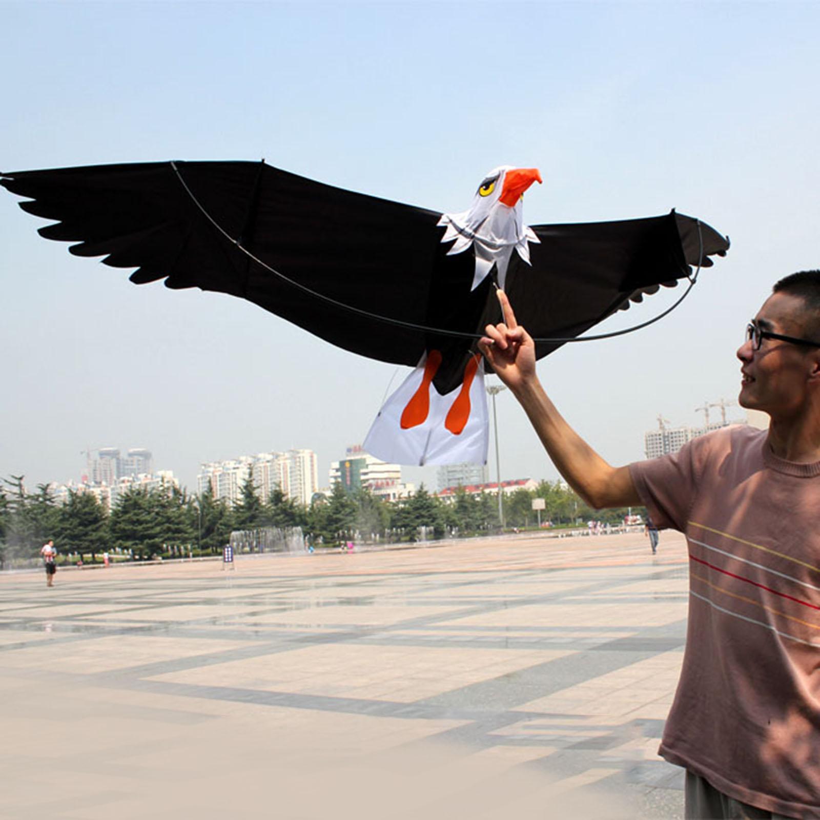 Cerf-volant Aigle pour Enfants - Kite Easy Fly Kids avis et prix