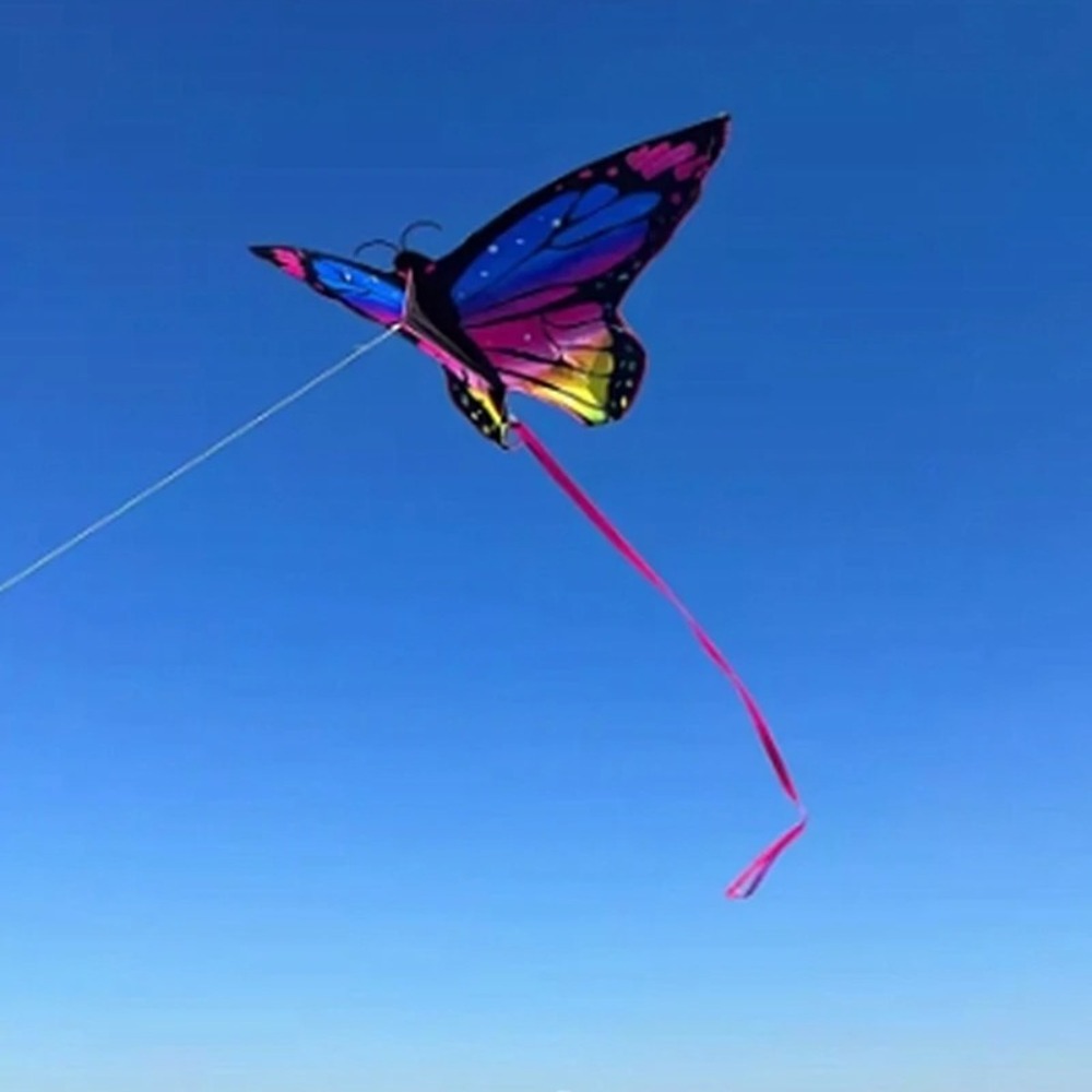 Cerf-volant papillon coloré po - Kite Easy Fly Kids avis et prix