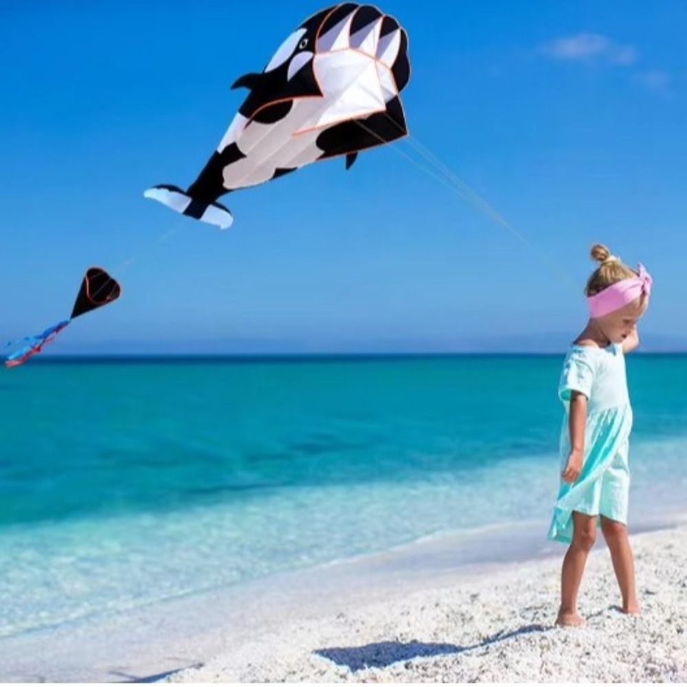 Cerf-volant baleine/dauphin de - Kite Easy Fly Kids avis et prix