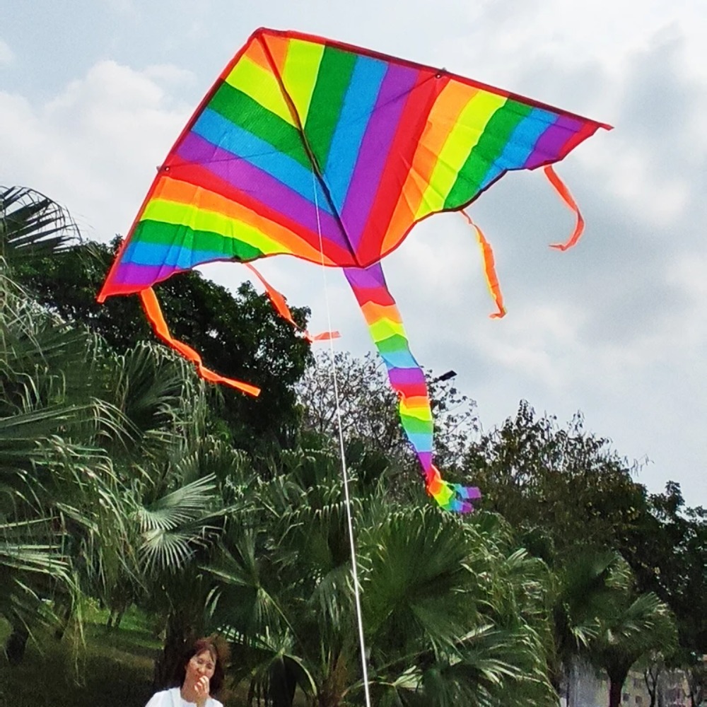 Cerf-volant arc-en-ciel, nouve - Kite Easy Fly Kids avis et prix