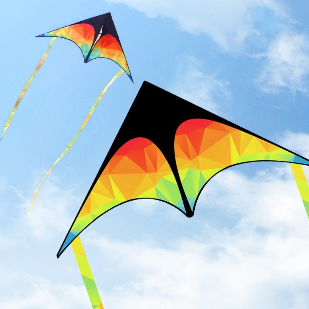 Grand cerf-volant Delta à Doub - Kite Easy Fly Kids avis et prix