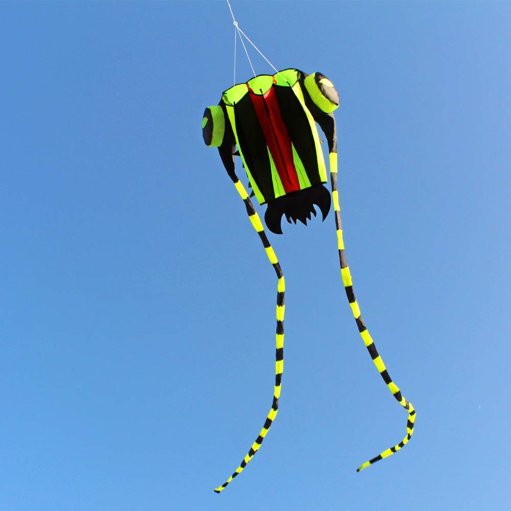 Grand cerf-volant souple Easy  - Kite Easy Fly Kids avis et prix